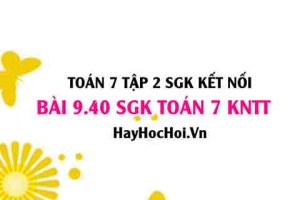Bài 9.40 SGK Toán 7 Tập 2 Kết nối tri thức